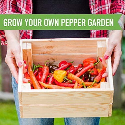 Spicy Peppers Grow Kit